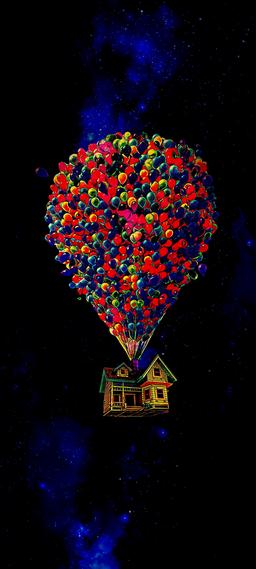 'Up' goes the house (AMOLED)