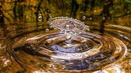 The Serene Dance of Water Drops: Nature's Timeless Symphony[1920x1080]