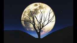 3D Halloween background with tree silhouetted against the moon[1920x1080]