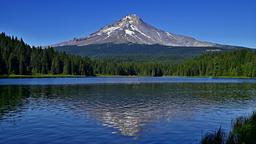 OREGON - Mt. Hood From Trillium Lake - August 2024 - [OC] [2560x1440]