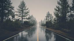 Wet Road Between Tall Trees [ 7680x4320 ]