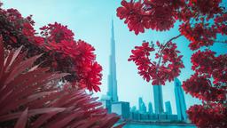 Dubai InfraScapes - Blooming Burj by Paolo Pettigiani [3840x2160]