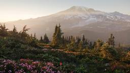 Mount Rainier National Park (Photo by /u/CanadianWithCamera) [3840x2160]