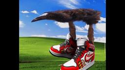 By demand, Gigantic Bird Standing on Its Huge Feet on the Default Windows Background, now with cool kicks. (1920x600)